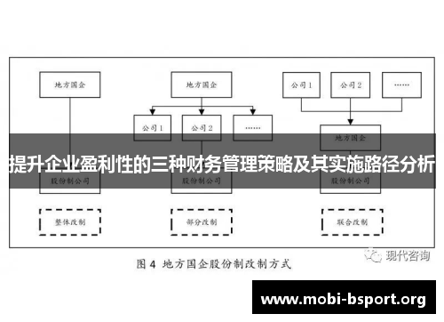 提升企业盈利性的三种财务管理策略及其实施路径分析 提升企业盈利性的三种财务管理策略及其实施路径分析