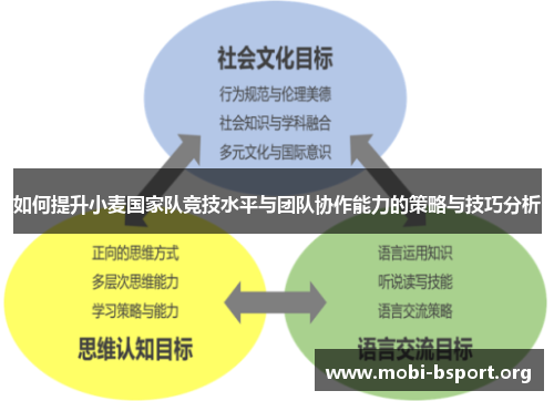 如何提升小麦国家队竞技水平与团队协作能力的策略与技巧分析