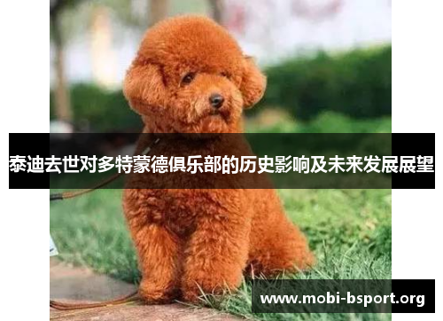 泰迪去世对多特蒙德俱乐部的历史影响及未来发展展望 泰迪去世对多特蒙德俱乐部的历史影响及未来发展展望
