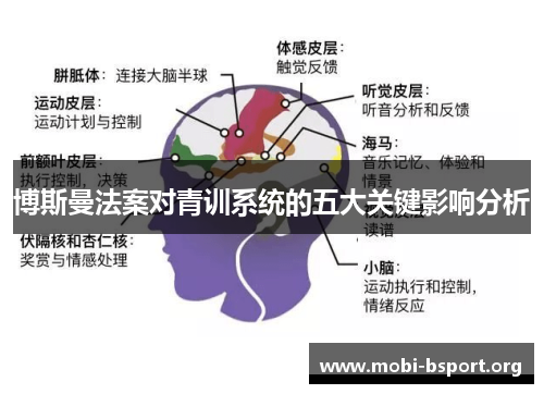 博斯曼法案对青训系统的五大关键影响分析 博斯曼法案对青训系统的五大关键影响分析
