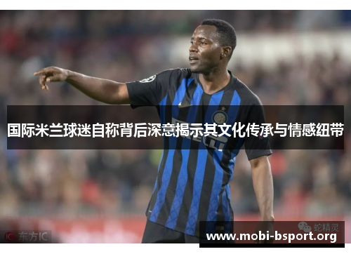 国际米兰球迷自称背后深意揭示其文化传承与情感纽带