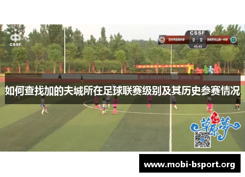 如何查找加的夫城所在足球联赛级别及其历史参赛情况 如何查找加的夫城所在足球联赛级别及其历史参赛情况